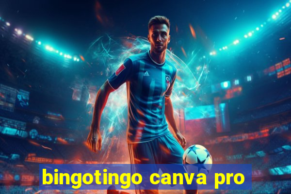 bingotingo canva pro